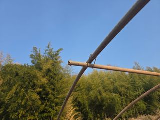 박정원님의 기타작물 · 영농일지 작성글 사진