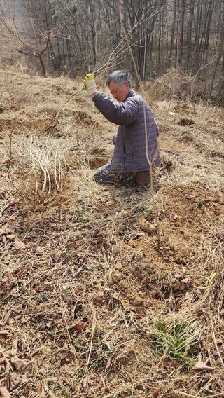 서성환님의 기타작물 · 영농일지 작성글 사진