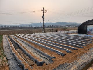 구봉갑산님의 기타작물 · 영농일지 작성글 사진