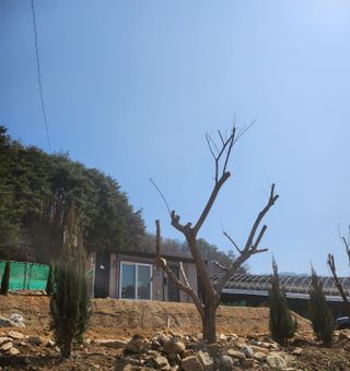 툇골짜기님의 기타작물 · 영농일지 작성글 사진