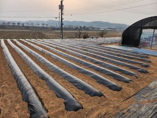 구봉갑산님의 기타작물 · 영농일지 작성글 사진