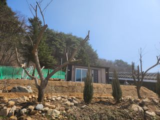 툇골짜기님의 기타작물 · 영농일지 작성글 사진