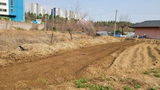 김영규님의 기타작물 · 영농일지 작성글 사진