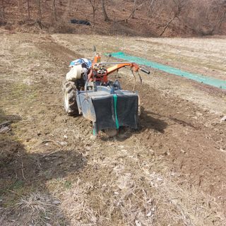 Blackbear님의 기타작물 · 영농일지 작성글 사진