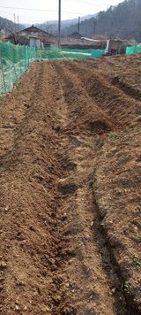 팜모닝 기타작물·영농일지 게시글 이미지