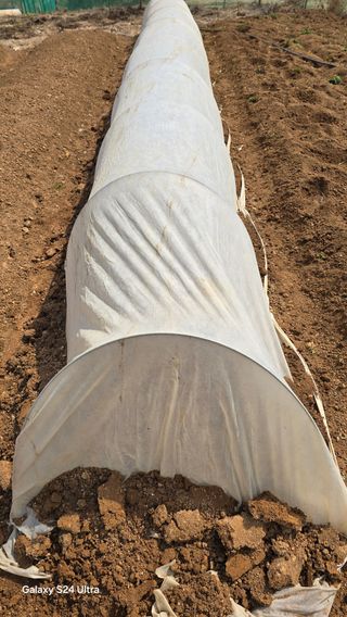 대박농장신초시님의 기타작물 · 영농일지 작성글 사진