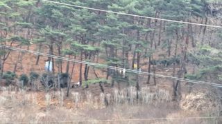 태능김동수님의 기타작물 · 영농일지 작성글 사진