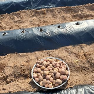 정연섭님의 기타작물 · 영농일지 작성글 사진