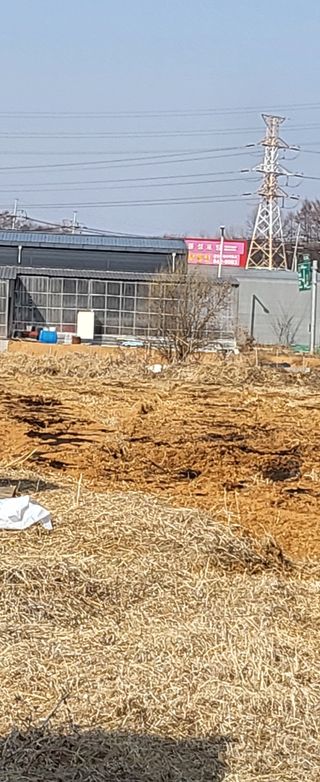 장경화님의 기타작물 · 영농일지 작성글 사진