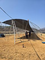 팜모닝 기타작물·영농일지 게시글 이미지