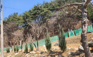 툇골짜기님의 기타작물 · 영농일지 작성글 사진