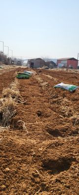 팜모닝 기타작물·영농일지 게시글 이미지