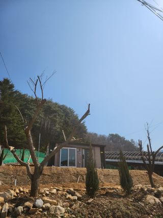 툇골짜기님의 기타작물 · 영농일지 작성글 사진