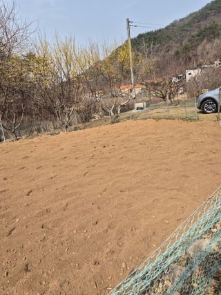 매실21434님의 기타작물 · 영농일지 작성글 사진