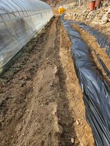 팜모닝 기타작물·영농일지 게시글 이미지