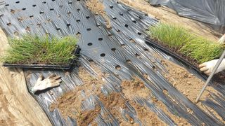 이경옥님의 기타작물 · 영농일지 작성글 사진