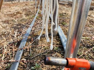 꿀복이농장님의 복숭아 · 영농일지 작성글 사진