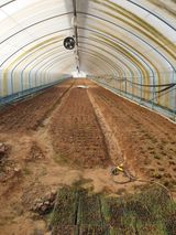 팜모닝 기타작물·영농일지 게시글 이미지