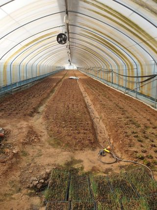 안농부님의 기타작물 · 영농일지 작성글 사진