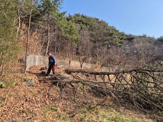 팜모닝회원류한배님의 기타작물 · 영농일지 작성글 사진