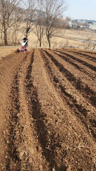 이영성(솔뫼농원)님의 기타작물 · 영농일지 작성글 사진