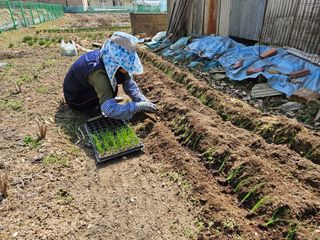 경달현님의 파 · 영농일지 작성글 사진