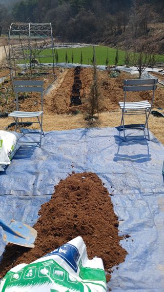 박준권님의 블루베리 · 영농일지 작성글 사진