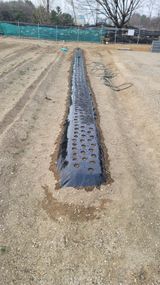 팜모닝 기타작물·영농일지 게시글 이미지