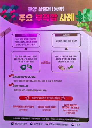 달맛햇복숭아농원님의 복숭아 · 영농일지 작성글 사진