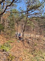 팜모닝 기타작물·영농일지 게시글 이미지