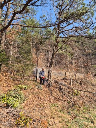 팜모닝회원류한배님의 기타작물 · 영농일지 작성글 사진