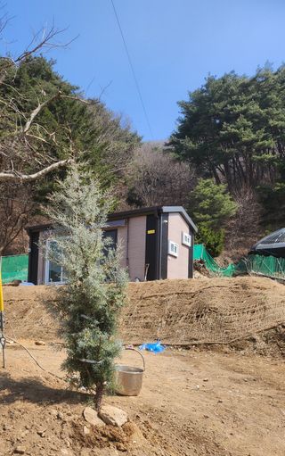 툇골짜기님의 기타작물 · 영농일지 작성글 사진