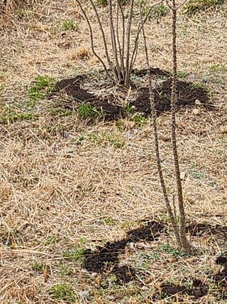 도깨비윤샘 님의 기타작물 · 영농일지 작성글 사진