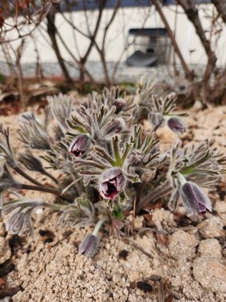 구봉갑산님의 기타작물 · 영농일지 작성글 사진