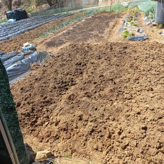 김건우님의 기타작물 · 영농일지 작성글 사진