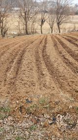 팜모닝 기타작물·영농일지 게시글 이미지