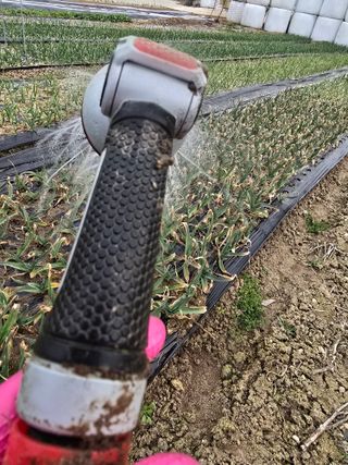 김유숙님의 기타작물 · 영농일지 작성글 사진