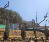 팜모닝 기타작물·영농일지 게시글 이미지