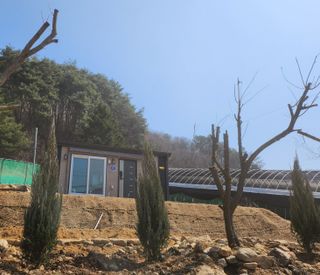 툇골짜기님의 기타작물 · 영농일지 작성글 사진