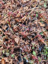 팜모닝 기타작물·영농일지 게시글 이미지