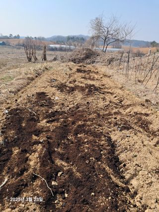노재영님의 기타작물 · 영농일지 작성글 사진