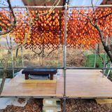 팜모닝 감·영농일지 게시글 이미지