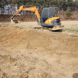 제2의인생출발님의 기타작물 · 영농일지 작성글 사진