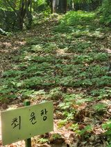 팜모닝 기타작물·영농일지 게시글 이미지