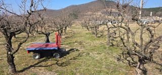 최병만님의 기타작물 · 영농일지 작성글 사진