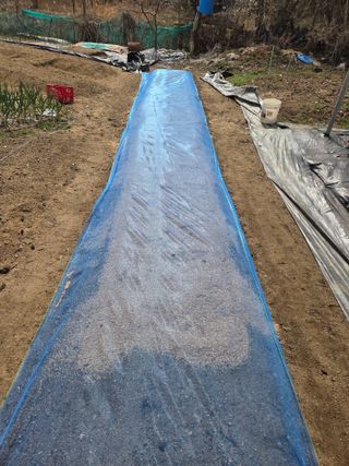 정찬길 님의 기타작물 · 영농일지 작성글 사진