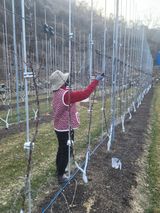 팜모닝 기타작물·영농일지 게시글 이미지