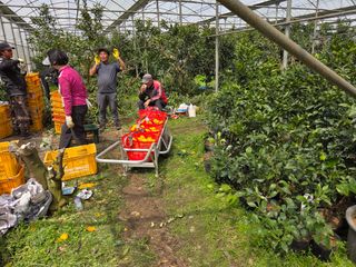 조상균님의 기타작물 · 영농일지 작성글 사진