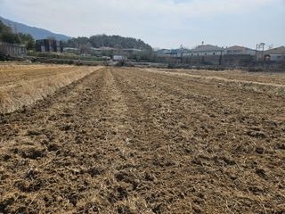 우경원님의 기타작물 · 영농일지 작성글 사진