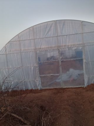 천성을향하여님의 기타작물 · 영농일지 작성글 사진